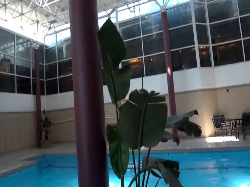 Crowne Plaza Chicago O'Hare Hotel & Conference Center By Ihg Розмонт Экстерьер фото