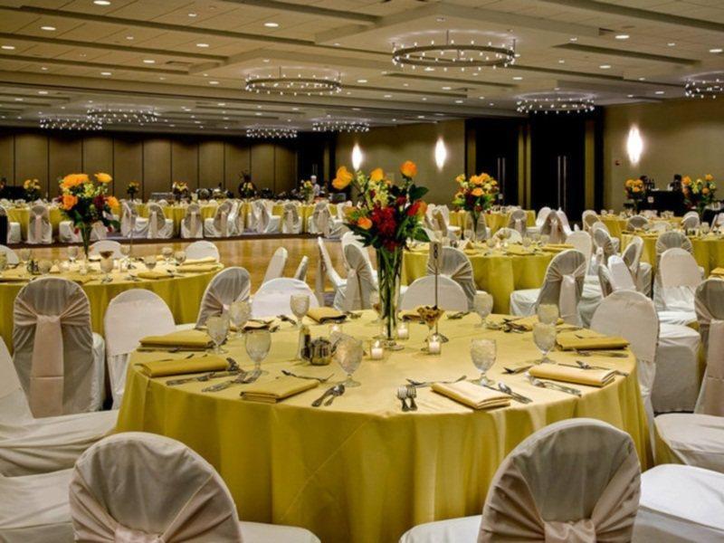Crowne Plaza Chicago O'Hare Hotel & Conference Center By Ihg Розмонт Экстерьер фото